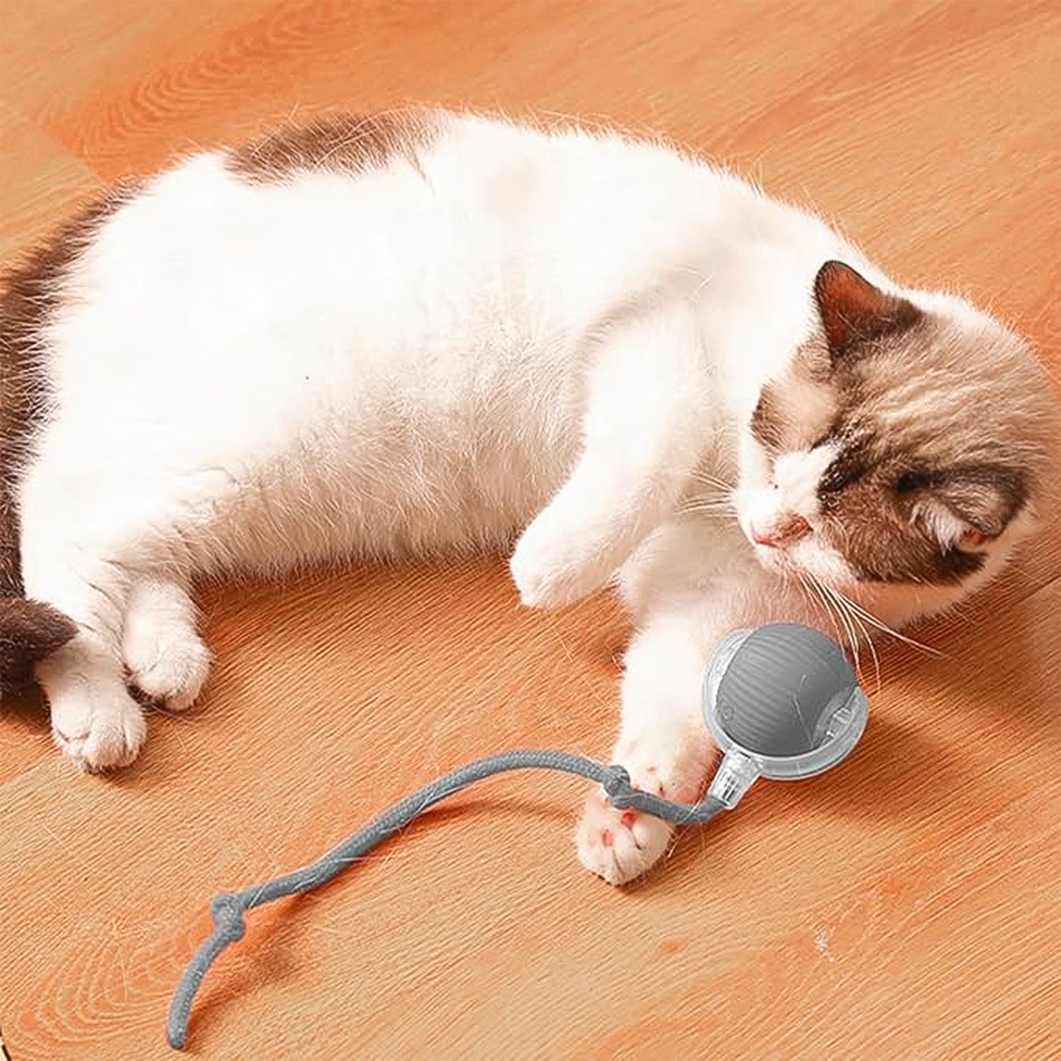 Twinkle Pounce Smart Ball