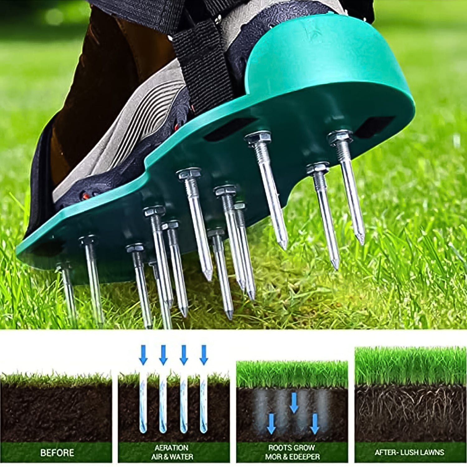 Grass Pulse