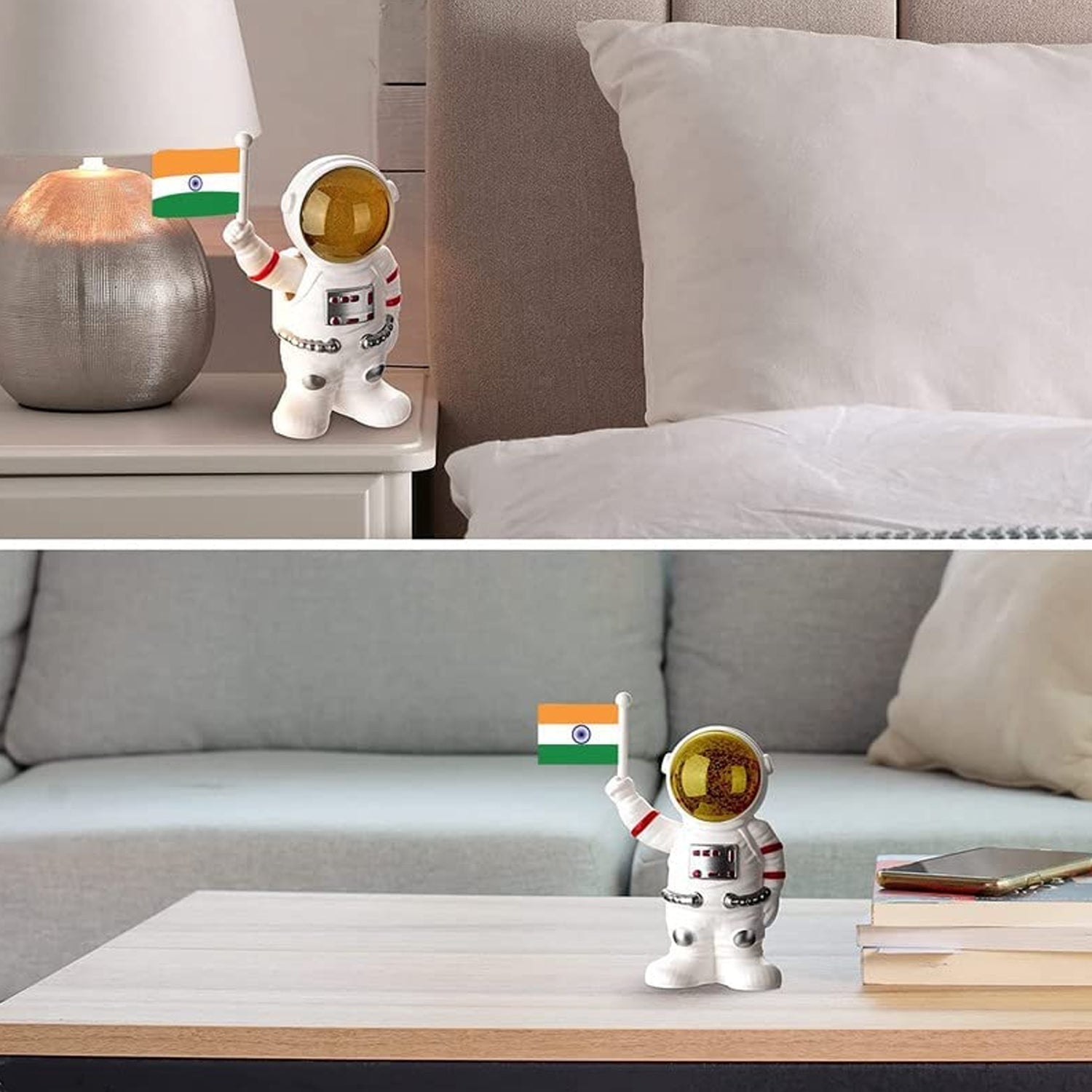 Astronaut of India