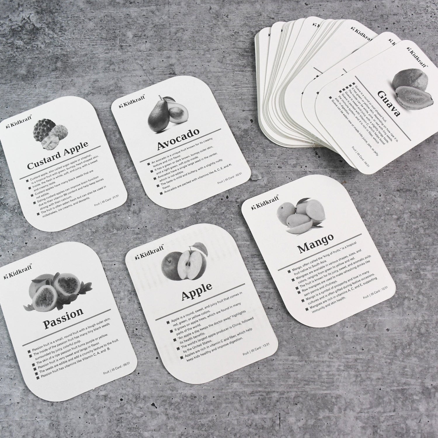 KidKraft Early Learner Educational Flashcards – 32 Birds