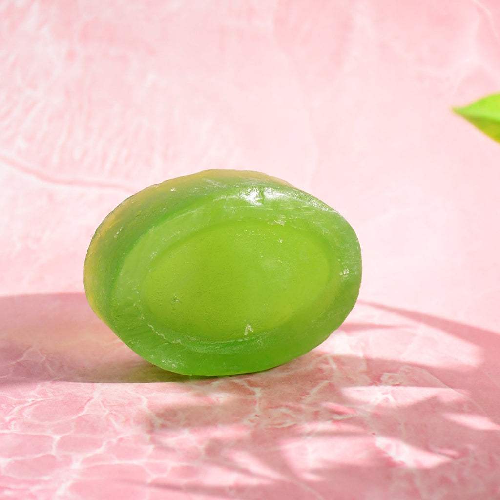 Doctor Chhoices / Choices Premium Aloe Vera Herbal Bath Soap (1 Pc)