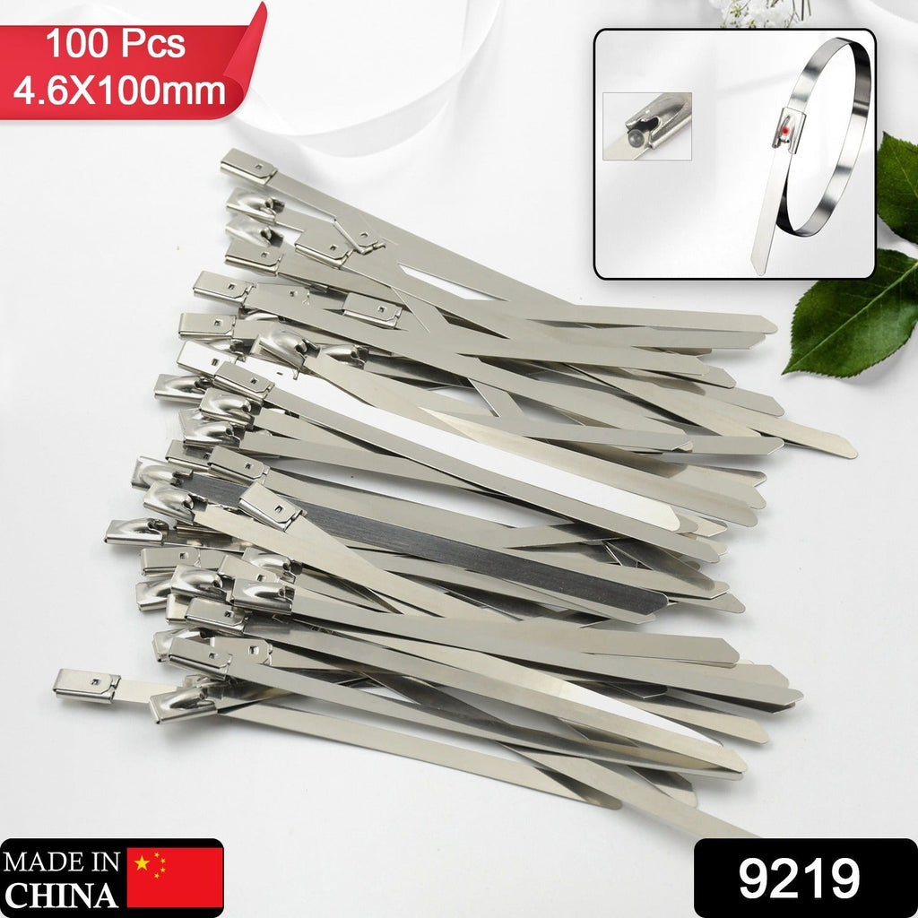 Stainless Steel Cable Ties for Solar & Home Use (100 Pc, 4.6x100mm)
