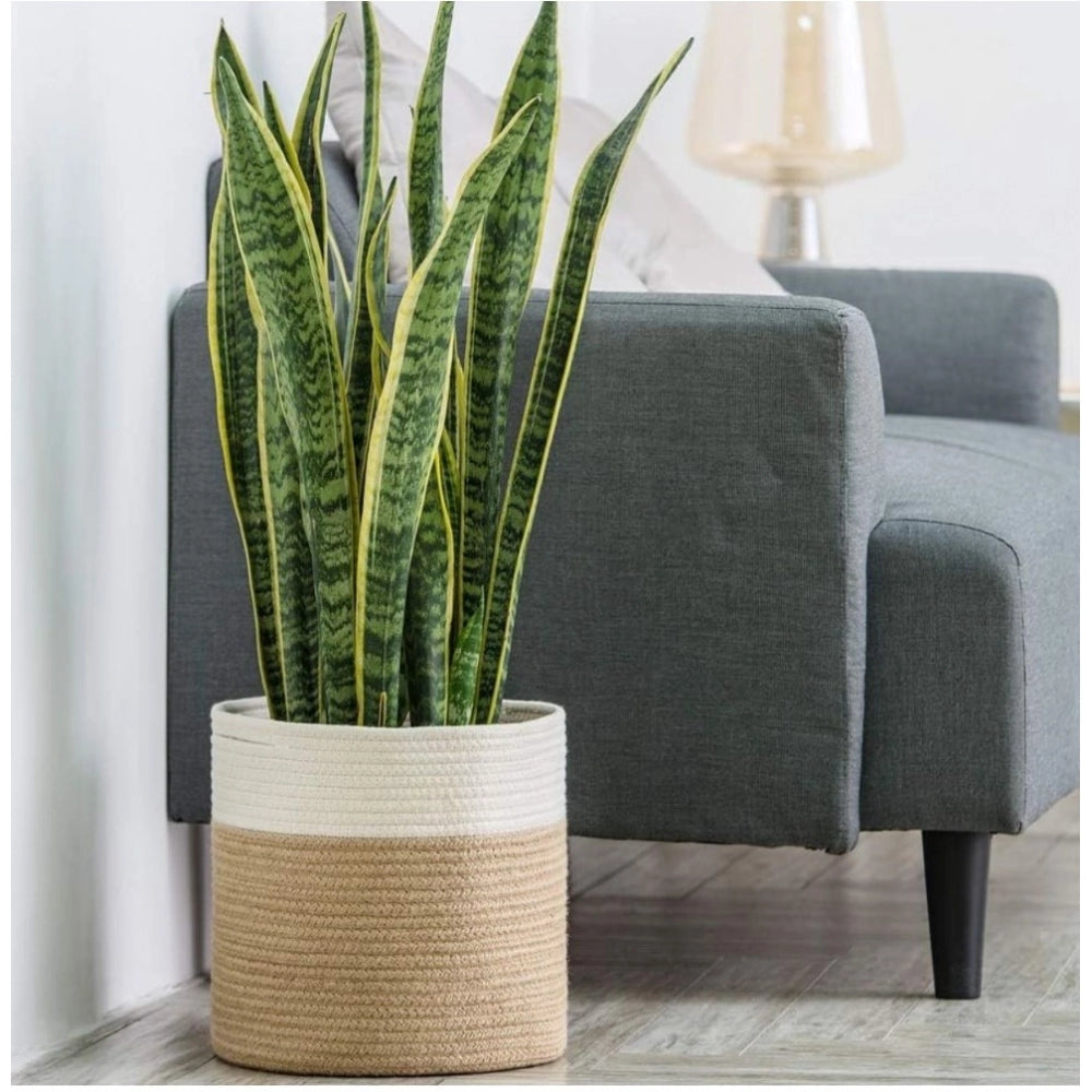 Generic Cotton Large Woven Storage Basket 11x11 Inch Pack of 1 (Beige White)